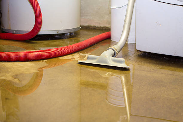 Best 24/7 water damage repair  in West Alexandria, OH