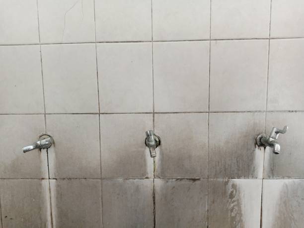 Best Emergency water damage restoration  in West Alexandria, OH
