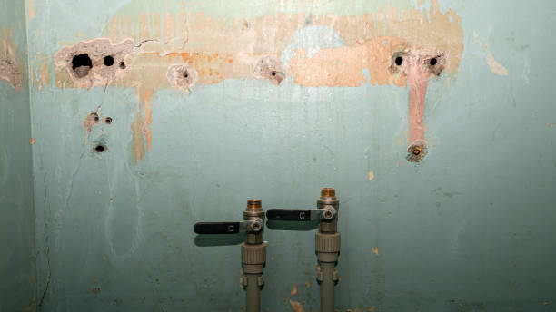 Best Water damage contractors near me  in West Alexandria, OH