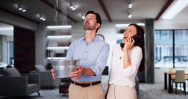 Best Carpet water damage restoration  in West Alexandria, OH