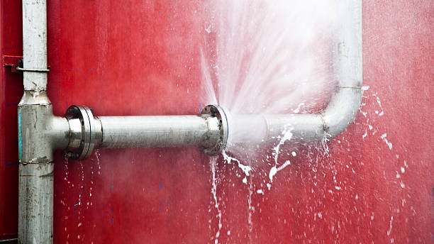 Best Mold removal after water damage  in West Alexandria, OH